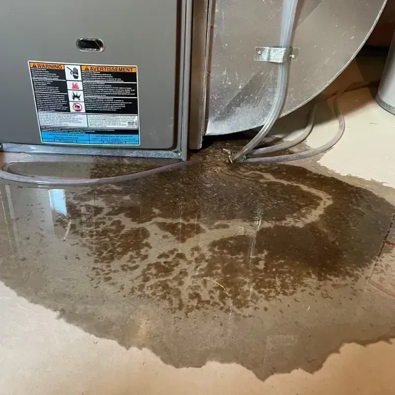 Appliance Leak Cleanup in Twin Lakes, NM